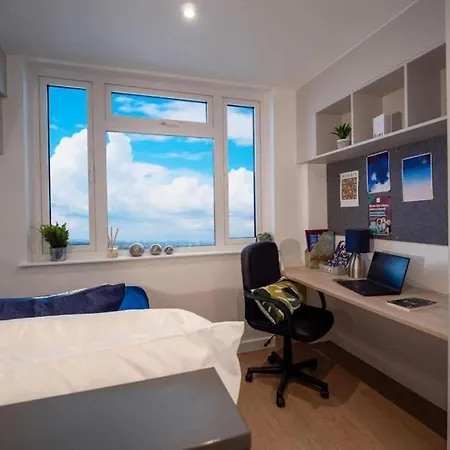 Compact Comfort Bronze Studio In Paddington